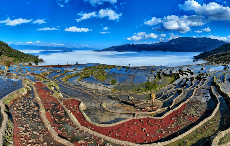守護七彩云南美麗凈土 云南扎實推進農用地土壤污染防治與治理