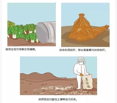 守護(hù)大地，人人有責(zé) 防治土壤污染，普通公眾能做什么？